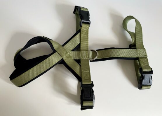 whippet greyhound harness