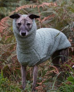 whippet greyhound jumper