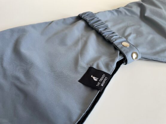 whippet greyhound coat
