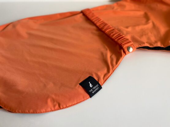 whippet greyhound coat