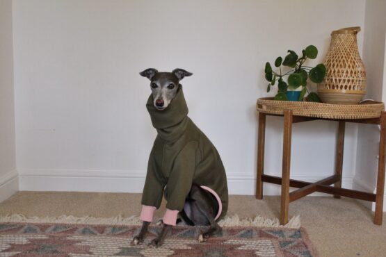 whippet greyhound jumper