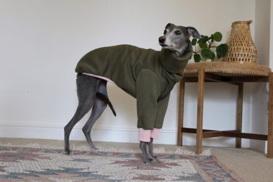 whippet greyhound jumper