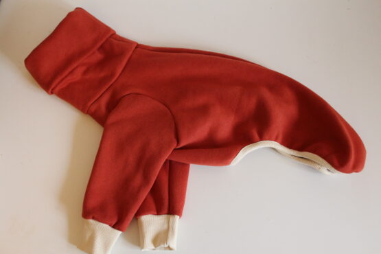 whippet greyhound jumper