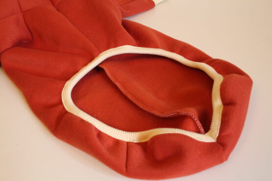 whippet greyhound jumper