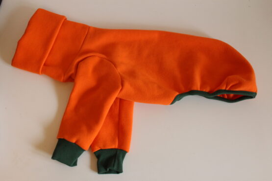 whippet greyhound jumper