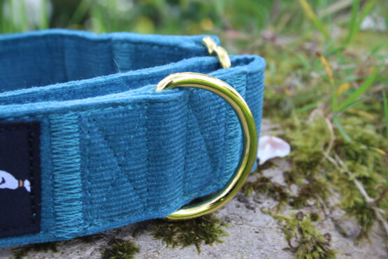 whippet greyhound collar