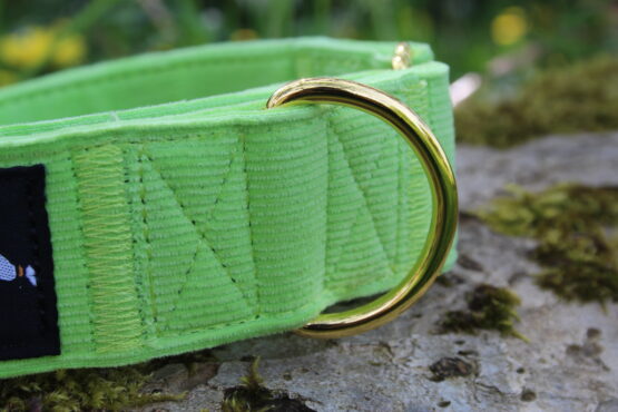 whippet greyhound collar