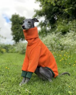 whippet greyhound jumper