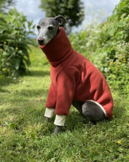 whippet greyhound jumper