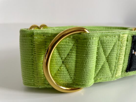 whippet greyhound collar