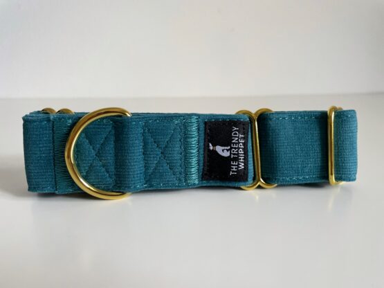 whippet greyhound collar
