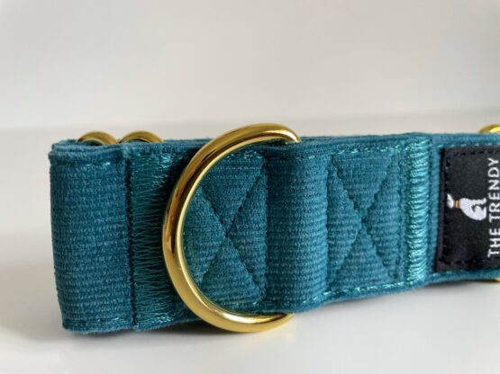 whippet greyhound collar