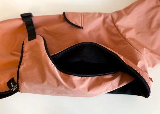 whippet greyhound coat