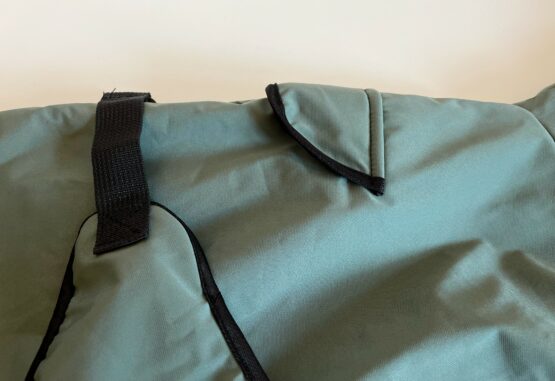 whippet greyhound coat