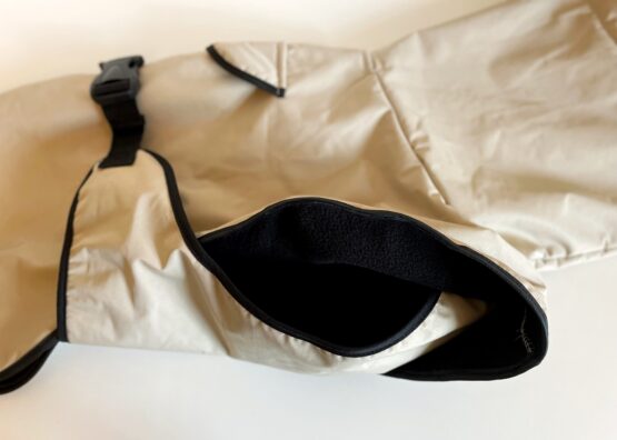 whippet greyhound coat