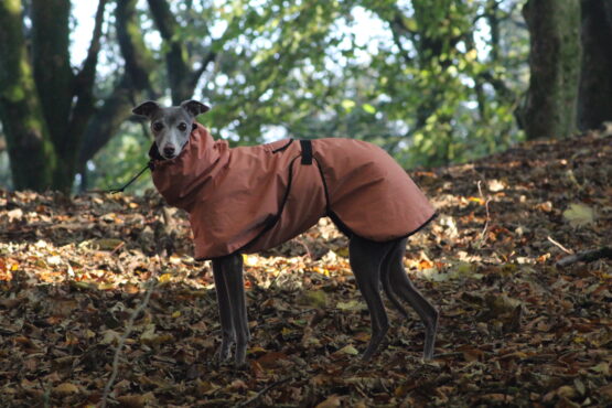 Peach Whippet Greyhound Waterproof Winter Coat - Image 2