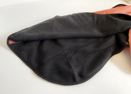 whippet greyhound coat