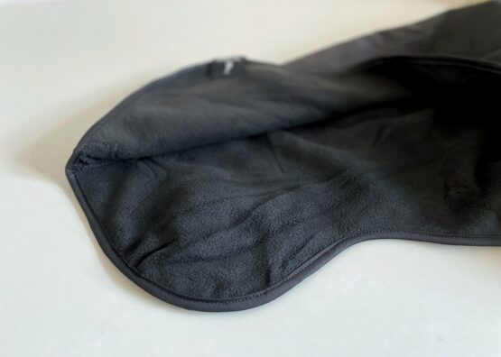 whippet greyhound coat