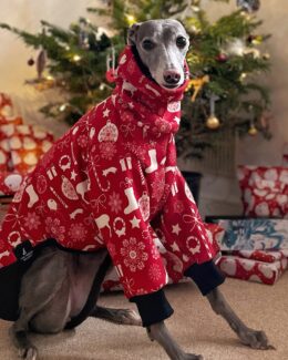 whippet greyhound jumper