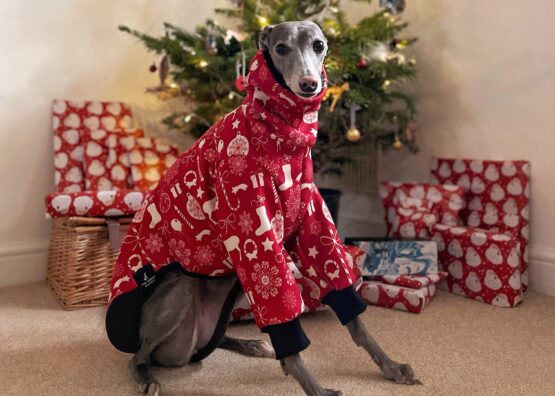 whippet greyhound jumper