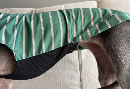 whippet greyhound jumper
