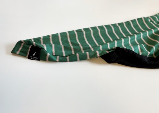 whippet greyhound jumper