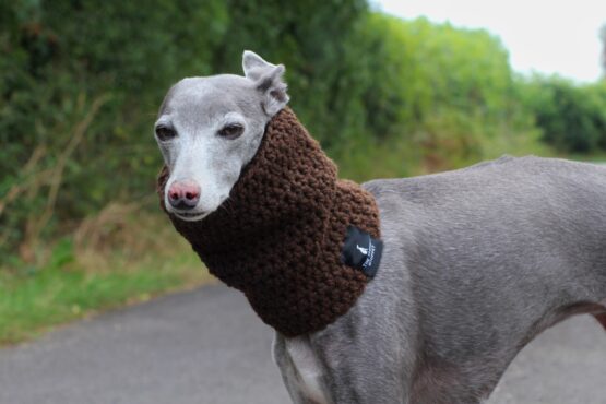 Brown Natural Wool Crochet Sighthound Snood | Limited Edition From Our Flock