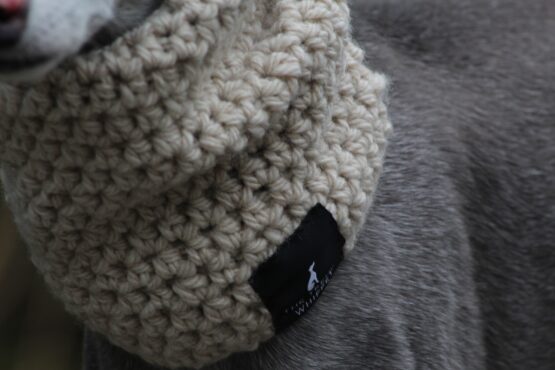 whippet greyhound snood