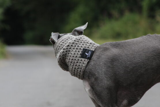 whippet greyhound snood