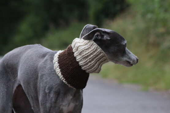 Cream & Brown Natural Wool Sighthound Snood | Limited Edition From Our Flock - Image 3