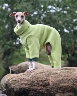 whippet greyhound jumper