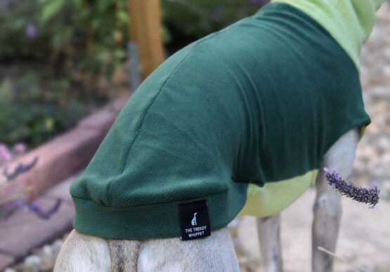 whippet greyhound jumper