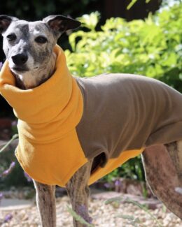 whippet greyhound jumper
