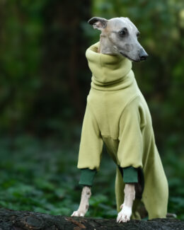 whippet greyhound jumper