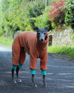 Orange & Turquoise Fleece Cuff Whippet Greyhound Onesie