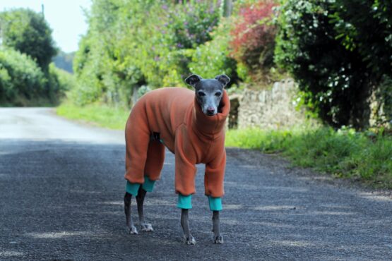 Orange & Turquoise Fleece Cuff Whippet Greyhound Onesie