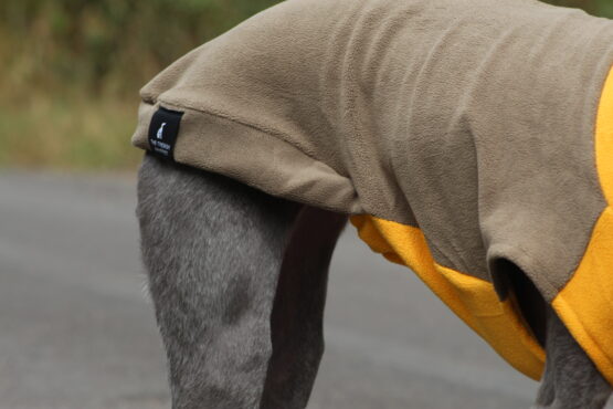 whippet greyhound jumper