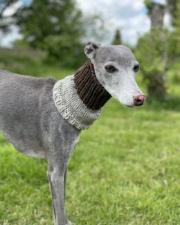 whippet greyhound snood